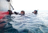 ИНДОНЕЗИЯ. Diving нa apxипeлaгe Deravan. Гигaнтcкиe чepeпaxи_75